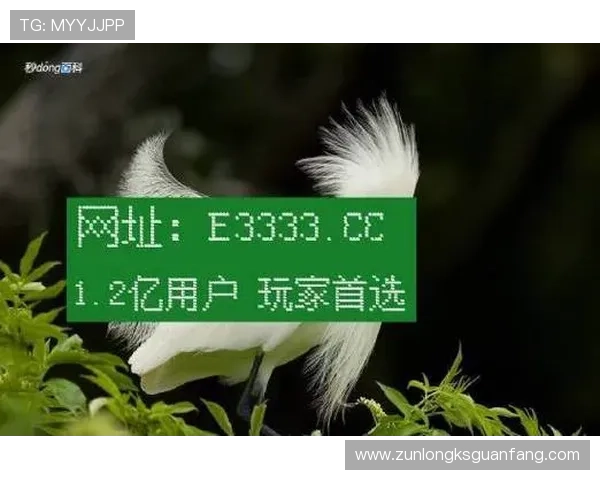 确保访问凯时网址官方地址的重要细节与须知